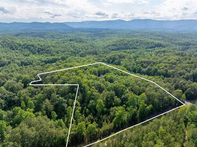 Hidden among the privacy of lush hardwoods in coveted Lake Adger - photo 48