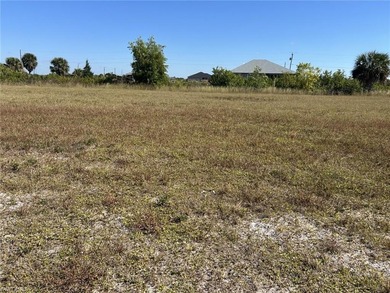Lake Lot For Sale in Cape Coral, Florida