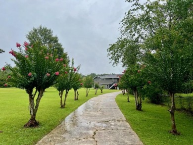 Lake Home For Sale in Milton, Florida