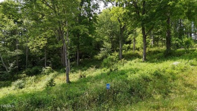 Lake Acreage For Sale in Butler, Tennessee