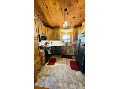 Lakefront Log Cabin Living at Its Finest! Call Josh! - photo 20