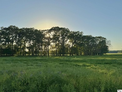 436+/- Acres | Prime Development & Investment Tract Located in - photo 11