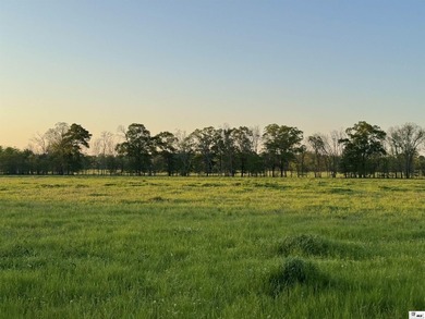 436+/- Acres | Prime Development & Investment Tract Located in - photo 12