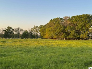 436+/- Acres | Prime Development & Investment Tract Located in - photo 14