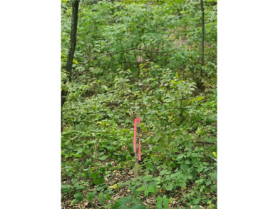 Hardy Lake  Acreage For Sale in Pillager Minnesota