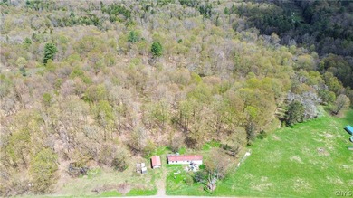 14 acres at a price that leaves room for vision! This property - photo 5