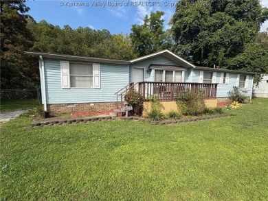 Lake Home For Sale in Seth, West Virginia