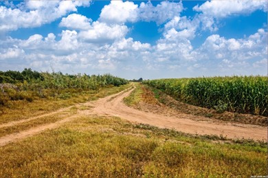 Easy Access from Nittler Rd and Mile 3 W in Hidalgo Co. close to - photo 13