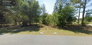 Lake Lot For Sale in Dunnellon, Florida