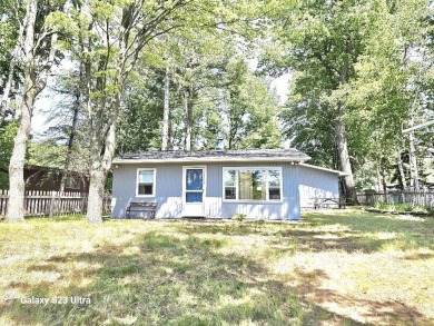 Wixom Lake Home For Sale in Beaverton Michigan