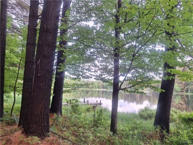 (private lake, pond, creek) Home Sale Pending in Forestport New York