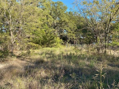 Lake Lot For Sale in Hawk Cove, Texas