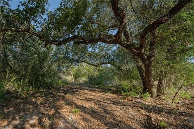 Nestled within an enchanting 9-acre tract, majestic oak trees - photo 14