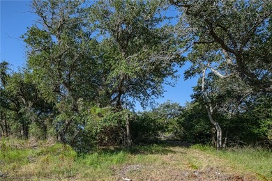 Nestled within an enchanting 9-acre tract, majestic oak trees - photo 15