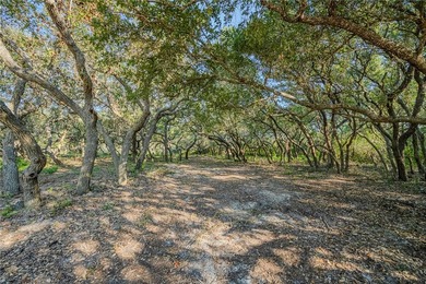 Nestled within an enchanting 9-acre tract, majestic oak trees - photo 17