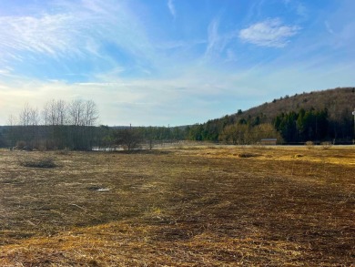 Lake Acreage For Sale in Little Valley, New York