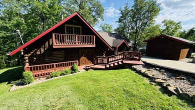 Lakefront Log Cabin Living at Its Finest! Call Josh! - photo 4