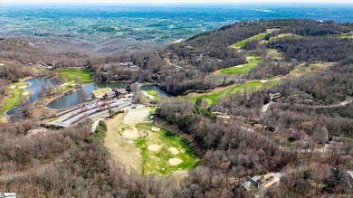 Situated in tranquil northern Greenville county this planned - photo 11