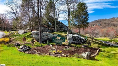 Situated in tranquil northern Greenville county this planned - photo 12