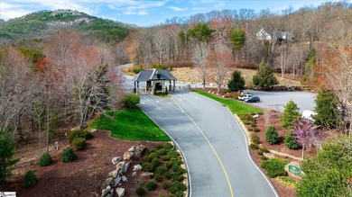 Situated in tranquil northern Greenville county this planned - photo 13