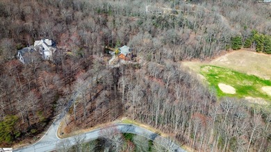 Situated in tranquil northern Greenville county this planned - photo 14