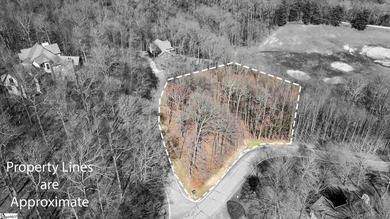 Situated in tranquil northern Greenville county this planned - photo 15