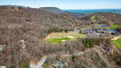 Situated in tranquil northern Greenville county this planned - photo 16