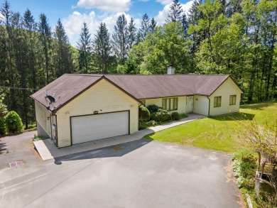 Lake Townhome/Townhouse For Sale in Livingston Manor, New York