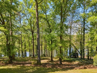 Nestled within the gated community of Carolina Country Club - photo 47