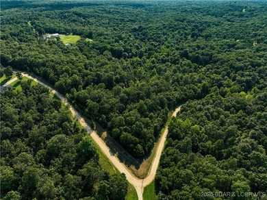 Lake of the Ozarks Acreage For Sale in Camdenton Missouri