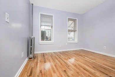 Welcome two 548 Sheffield Ave. Brooklyn, NY. Mint condition - photo 10