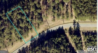 (private lake, pond, creek) Lot For Sale in Kingsland Georgia