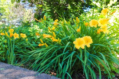 Let the sunshine in! This cheerful ranch is ready for you to add - photo 42