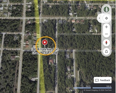 Fantastic oversized corner lot in Port Charlotte, now ready for - photo 13