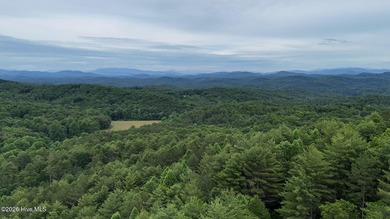 Discover the perfect place to build your mountain dream home on - photo 2