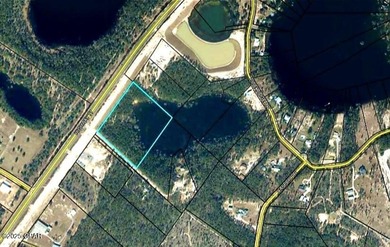 Piney Lake Acreage For Sale in Chipley Florida
