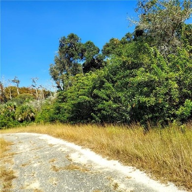 Lehigh Acres Area Lot For Sale in Lehigh Acres Florida