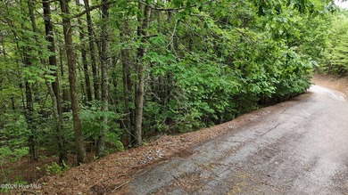 Discover the perfect place to build your mountain dream home on - photo 1