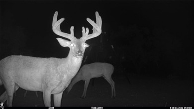 (private lake, pond, creek) Acreage For Sale in Goldsboro Texas