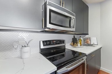 Stunning renovated 1 bed / 1 bath condo in Twelve Centennial