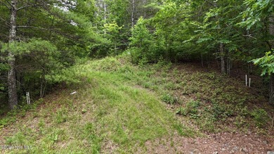 Discover the perfect place to build your mountain dream home on - photo 3