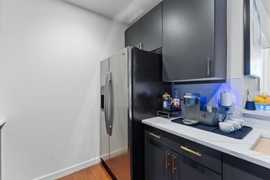 Stunning renovated 1 bed / 1 bath condo in Twelve Centennial