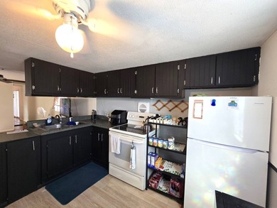Charming 2-Bedroom Home in Sunshine Lake Estates - 55+ Community - photo 8