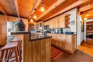 Tennessee lakefront property with amazing sunsets on Watts Bar - photo 12