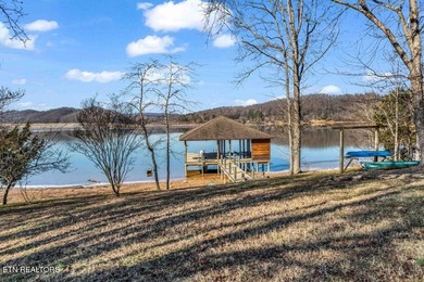 Tennessee lakefront property with amazing sunsets on Watts Bar - photo 27