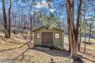 Tennessee lakefront property with amazing sunsets on Watts Bar - photo 30