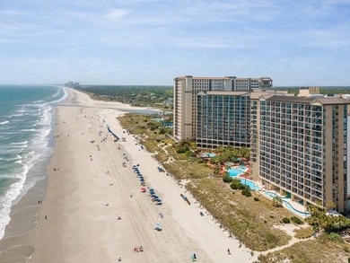 Welcome to this stunning one-bedroom, one-bathroom oceanfront - photo 45