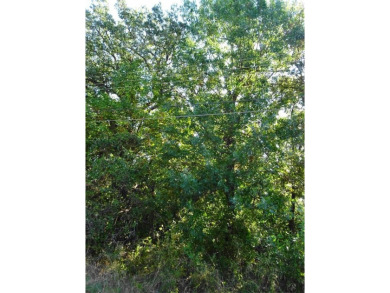Cedar Creek Lake Lot For Sale in Gun Barrel City Texas
