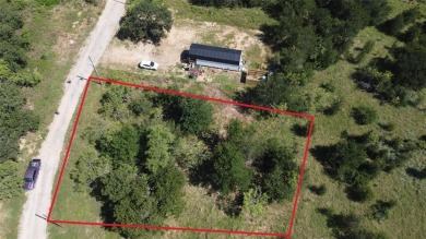 Lake Lot For Sale in Bridgeport, Texas
