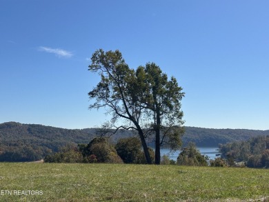 Gorgeous level Lakeview Lot in the Deerfield area! If you've - Lake Lot For Sale in Lafollette, Tennessee